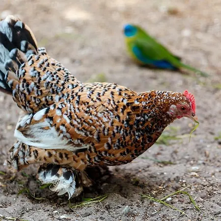 Wijk Aan Duin ベーフェルウェイク