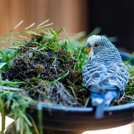 アパート Wijk Aan Duin