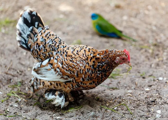 Wijk Aan Duin Beverwijk