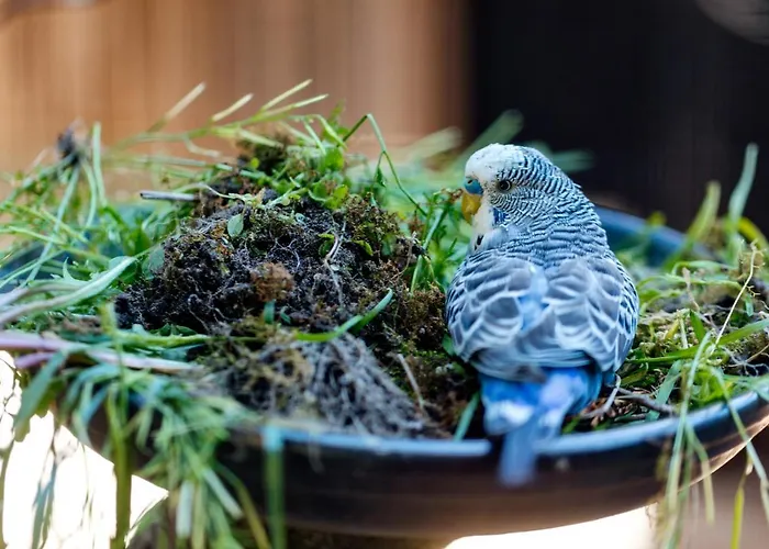 Appartement Wijk Aan Duin
