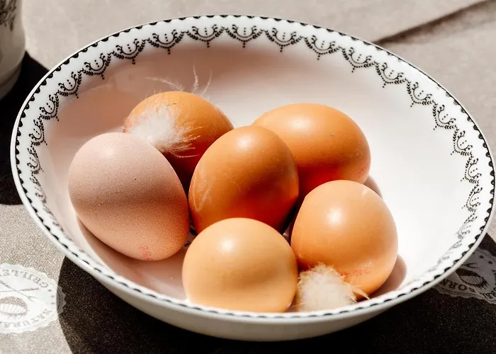 Appartement Wijk Aan Duin