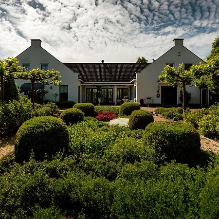 Wijk Aan Duin * 贝弗韦克