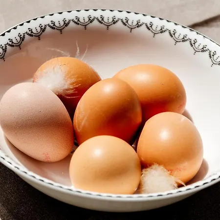 公寓 Wijk Aan Duin