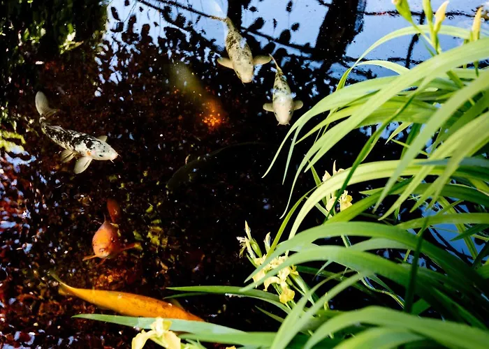 Wijk Aan Duin Апартаменты *